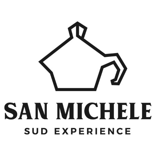 Logo nero San Michele Sud Experience