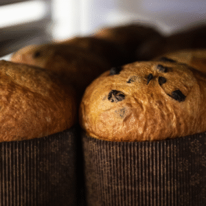 Panettone vegano con cioccolato
